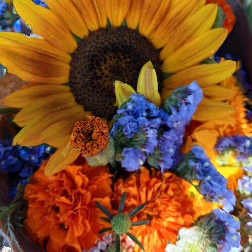Flowers